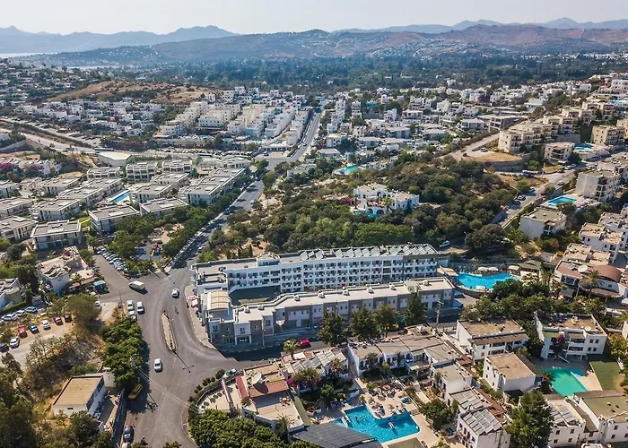 Resort Afytos